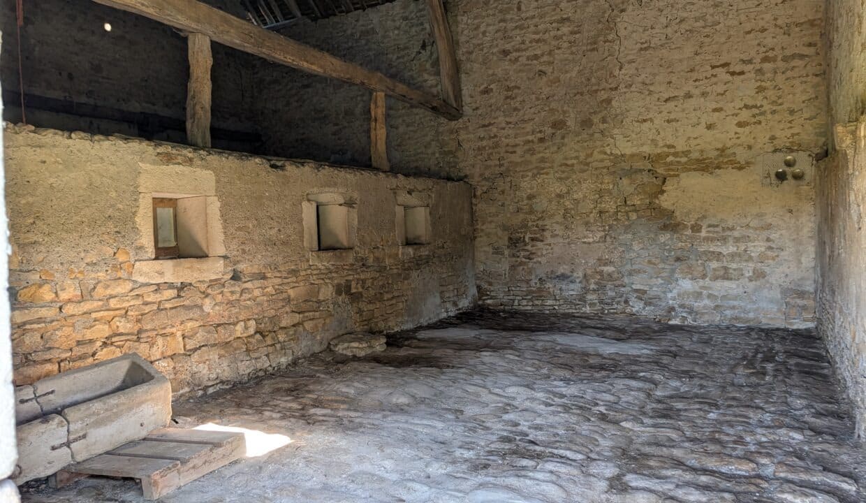 PXL_20250414_162707996.NIGHT