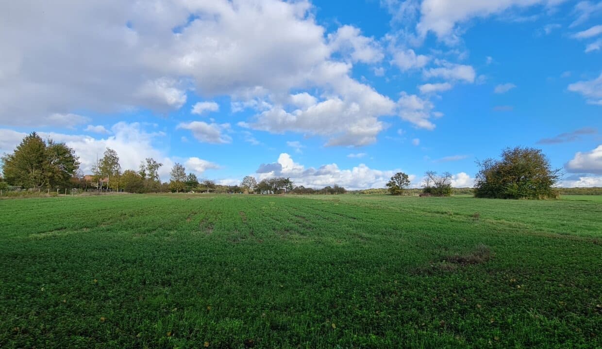 photo_308022e5ff4f31f76371b61bfe652570