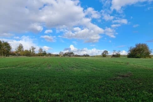 photo_308022e5ff4f31f76371b61bfe652570