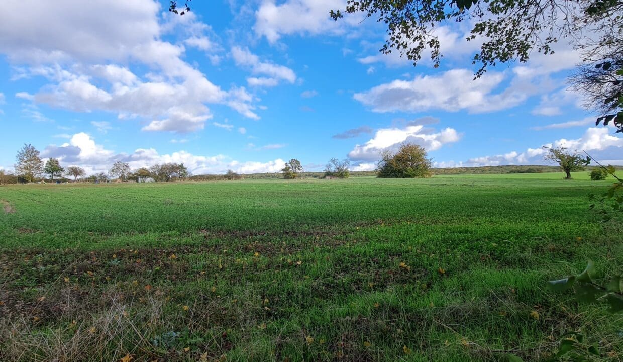 photo_5e589911de0096cdcabfaba4e2915984