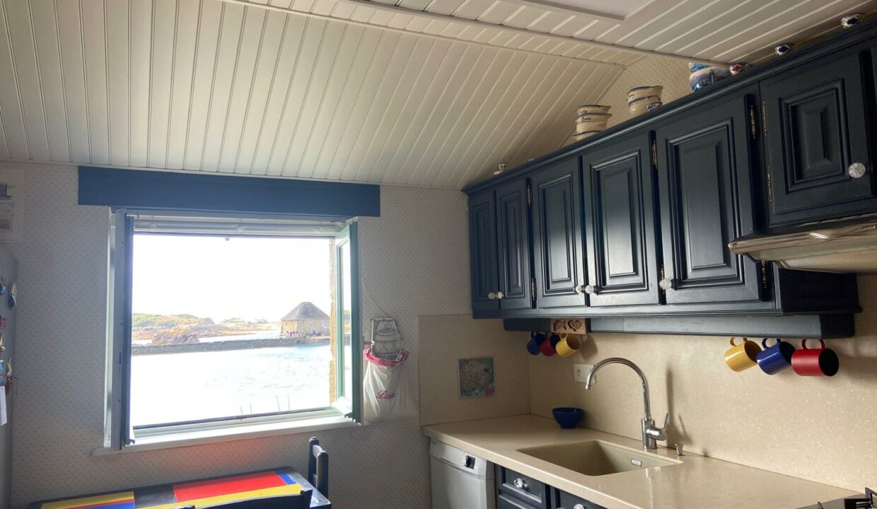 CUISINEVUE SUR L4ETANG ET MOULIN A MAREE