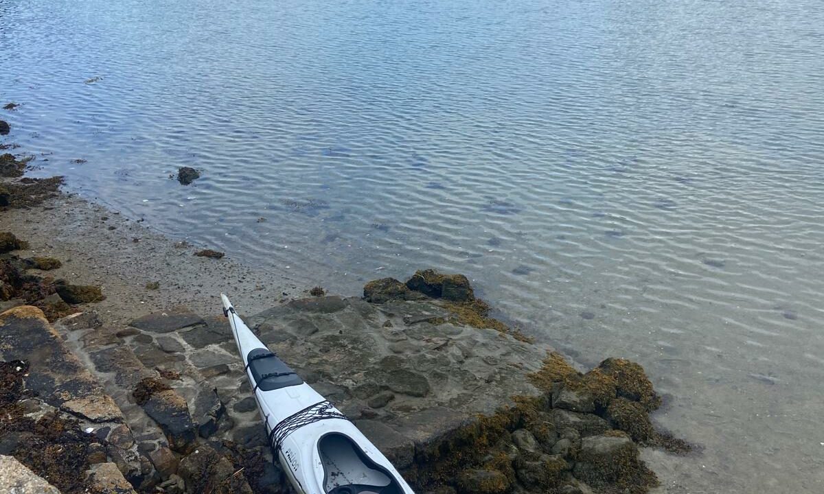 PHOTO-2026-03-14-16-11-36 (3)